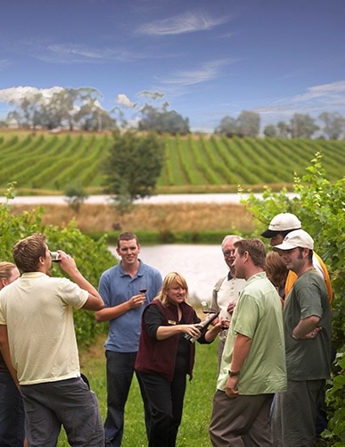 australia winetor ask melbourne