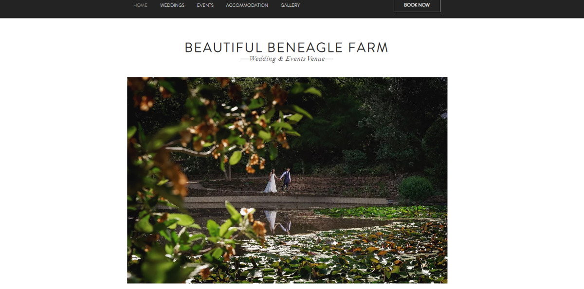 beautiful beagle farm
