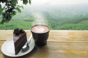 cafes in dandenong ranges, melbourne (3)