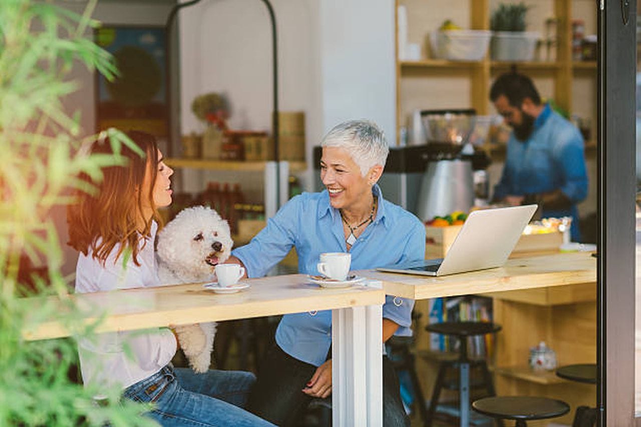 are-there-dog-friendly-cafes-in-melbourne