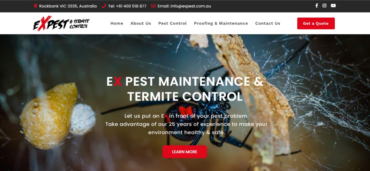 expest termite treatment & inspection
