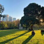 fun things to do in melbourne for couples2