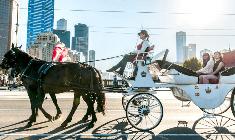 melbourne horse drawn carriage tour google searc
