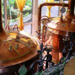 the essential role of water in the brewing