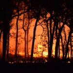 what are the main causes of bushfires (2)
