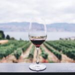 wine tours yarra valley ask melbourne