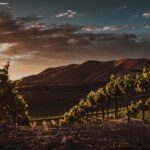 wineries ask melbourne