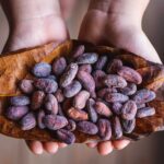 cacao beans