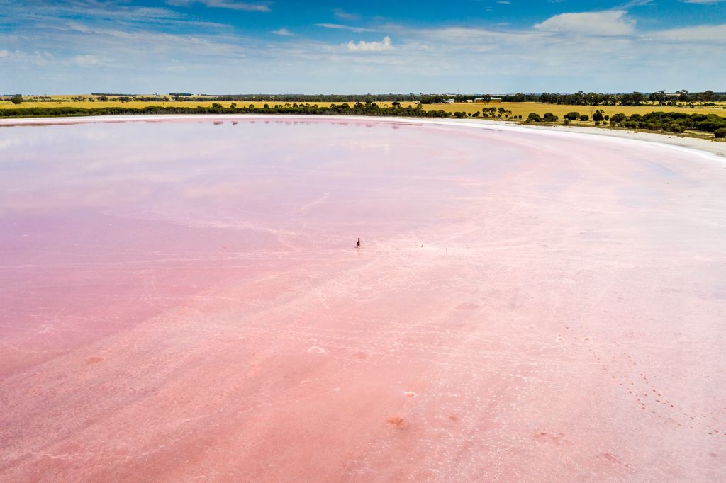 Pink Lake Melbourne